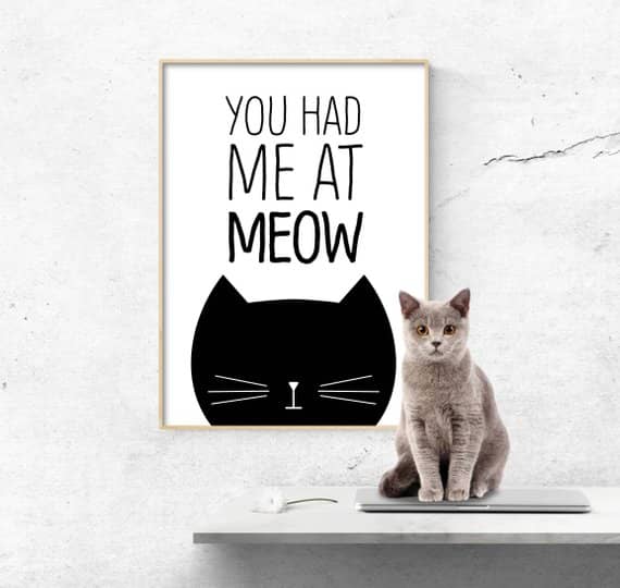 29 Best Cat Lover Gift Ideas for 2022